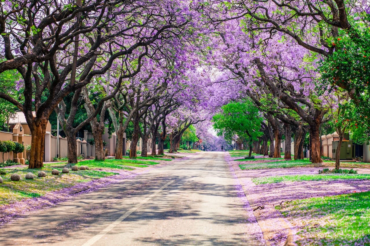Pretoria area