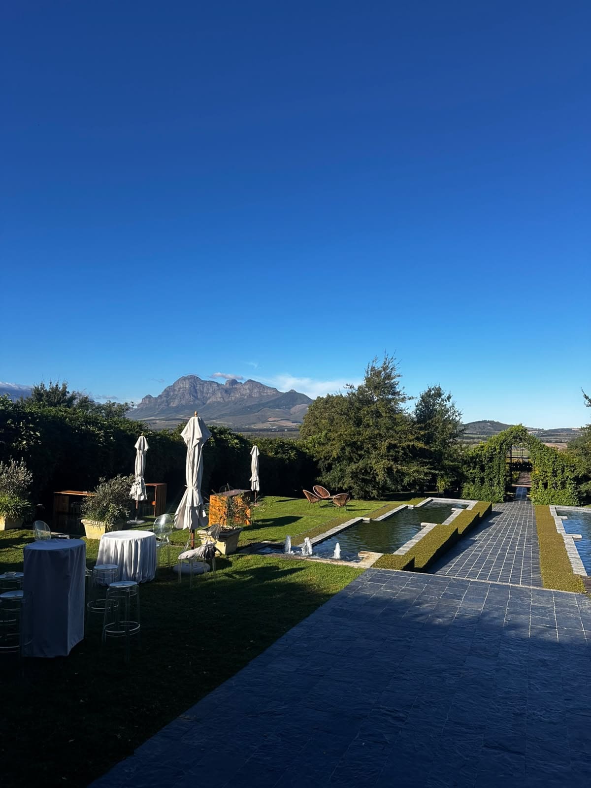 Stellenbosch area