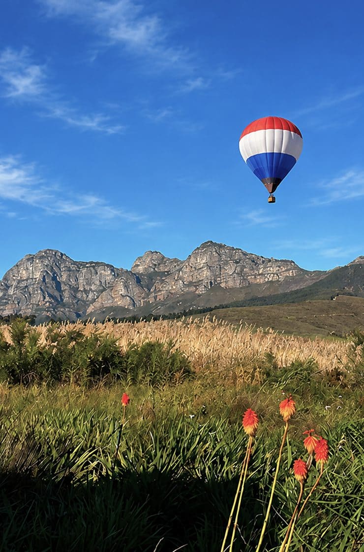 RE/MAX Infoglobe